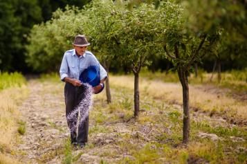 lawn-fertiliser-types-conventional