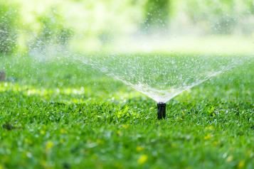 Summer Lawn Watering