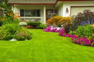 lush-green-lawn