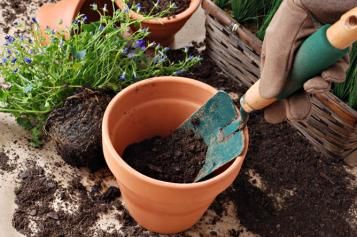 potting guide