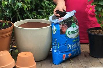 potting mix