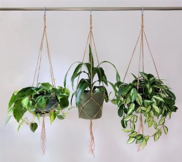 sky planter