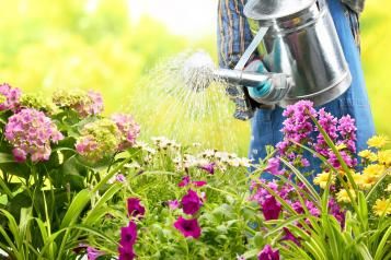 Bloemen water geven