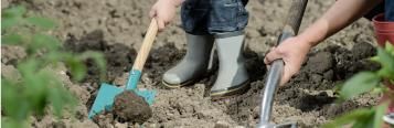 Beete winterfest machen
