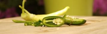 Chili pflanzen