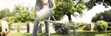 Einsatz von Nützlings Nematoden