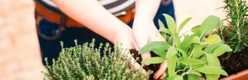 Tipps zum Balkon gestalten