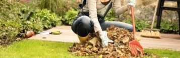 Die richtige Rasenpflege im Herbst