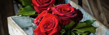 Blumen und ihre Bedeutung