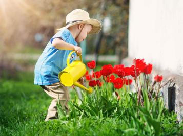 Kind gießt Tulpen