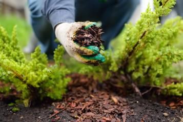 Increasing recycled content