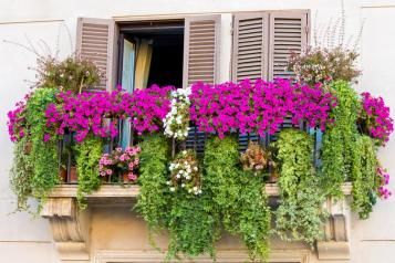 Wiszące kompozycje kwiatowe na balkonie