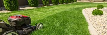 Spring lawn care