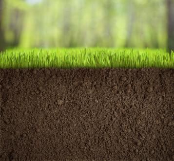 Gras mit Erde