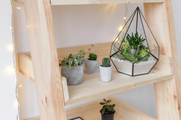 Plant in glas