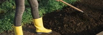 Top Dressing Lawn