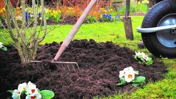 Making your own mulch in autumn