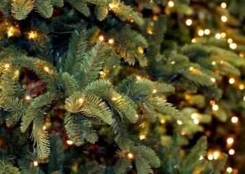 Kerstboom met lichtjes