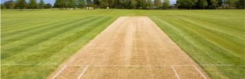backyard cricket pitch