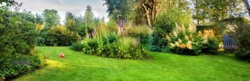 lawn in sunshine