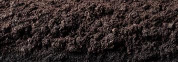 Soil Science Masterclass