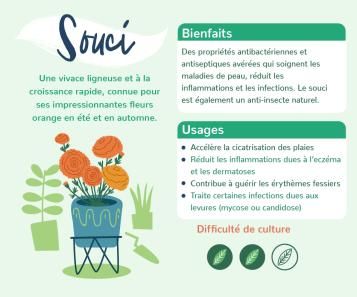 Souci