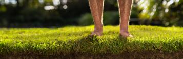 Barefoot on a lawn