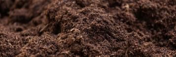 potting mix
