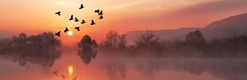 Get ready for Autumnwatch