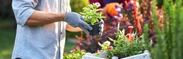 A complete guide to choosing the right compost
