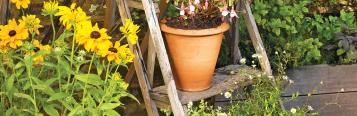 How to create some more garden space - upwards!
