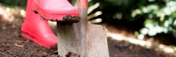 How to improve border soil
