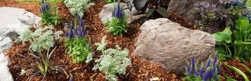 How to mulch and why