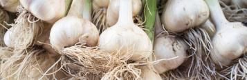 Image for Knoflook