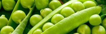 Image for Petits pois