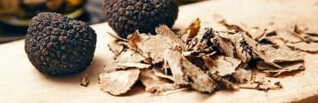 How to grow truffles