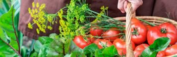 Le Calendrier Du Potager