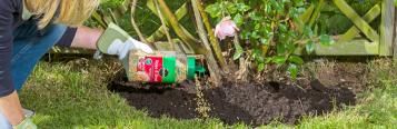 Plant feeding: application