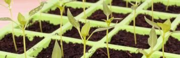 What is propagation and how do I do it?
