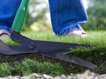 Edging the lawn