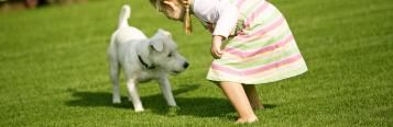 Pesticides and children, pets and wildlife