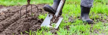 10 ideas to get your garden ready for spring