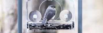 21 cool garden gadgets