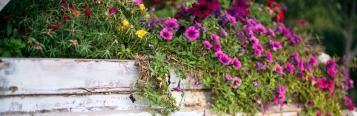 25 inspiring DIY garden ideas