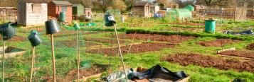 Les Jardins Partagés Sortent De Terre