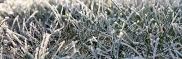 Get your garden ready for winter