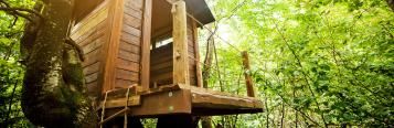 Une Cabane Dans Les Arbres