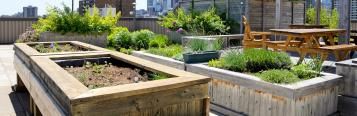 Roof top garden design ideas
