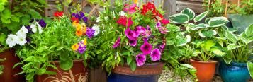 Couleurs Mamans
