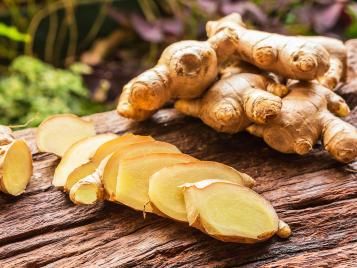 Freshly harvested ginger